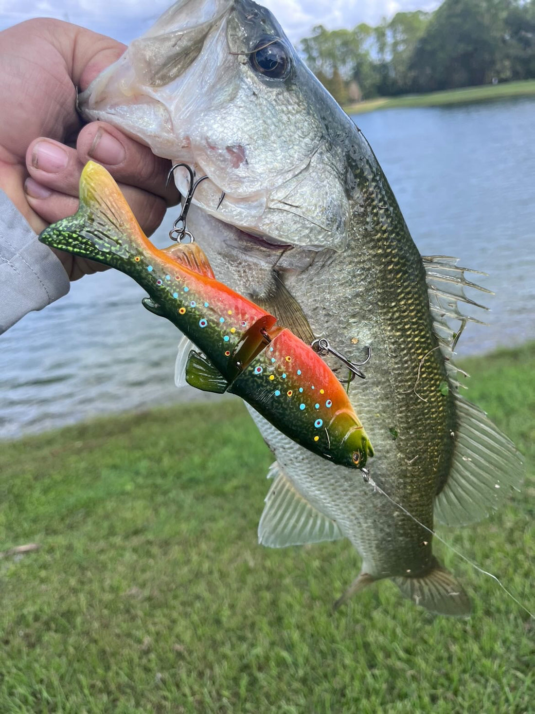 bass caught on Lanier Lures handmade fishing lure