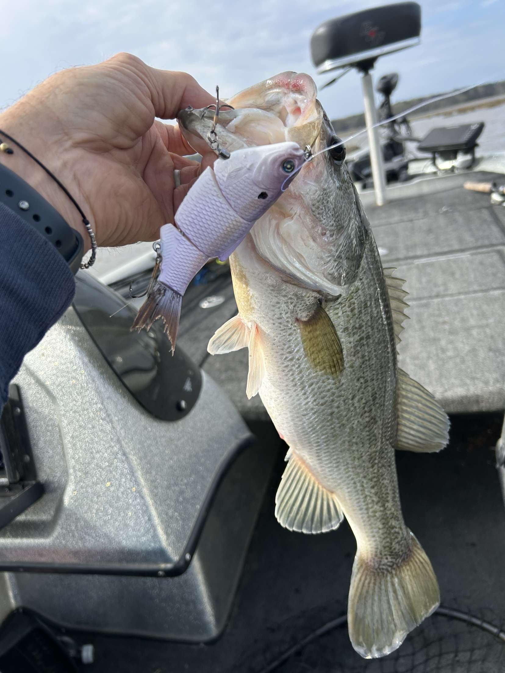 bass fishing with shad lures 5" Vapor Shad Assassin Lures, Inc The Ozark Trail Topwater Popper entices vicious surface strikes with just the flick of the wrist Catch Shallow Bass Right Now