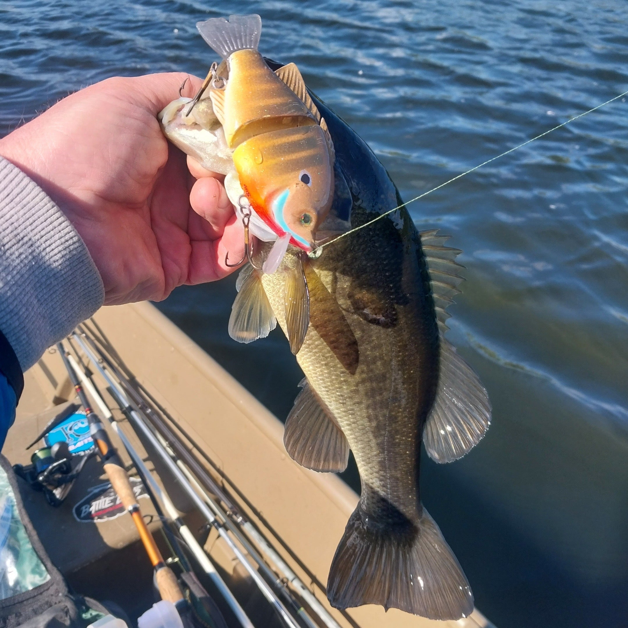 Blue Gill Catches Again!