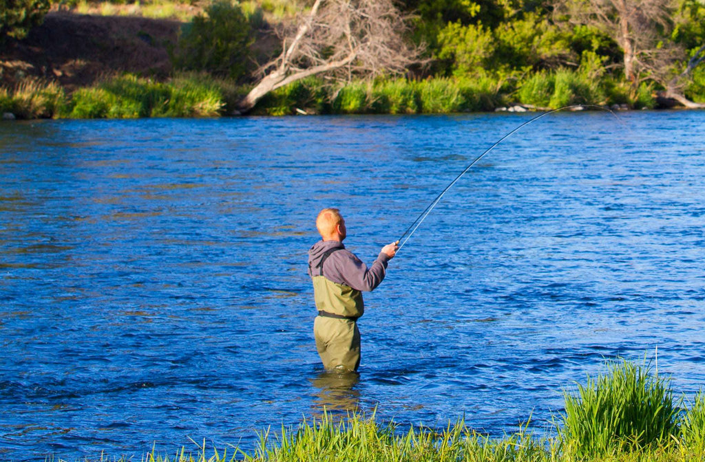 West Fork Salmonfly Stone - Stonefly Dry Fly - 6 Flies Size 6