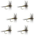 Blue Winged Olive BWO Trout Dry Fly Fishing Flies - 6 Flies Size 18