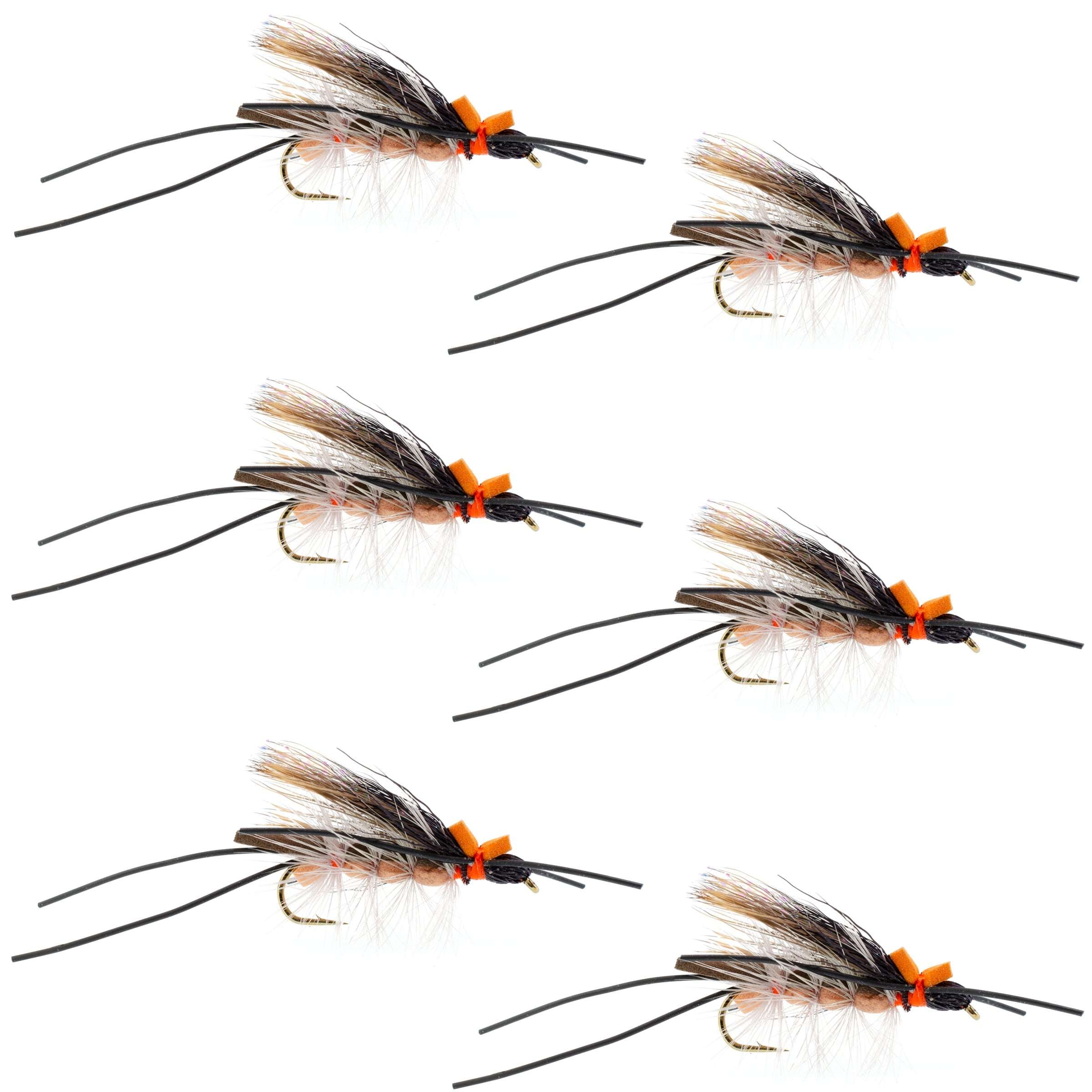 Flat Foam Salmonfly Stone - Stonefly Dry Fly - 6 Flies Size 6