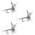 3 Pack Mosquito Classic Trout Dry Fly Fishing Flies - Size 10