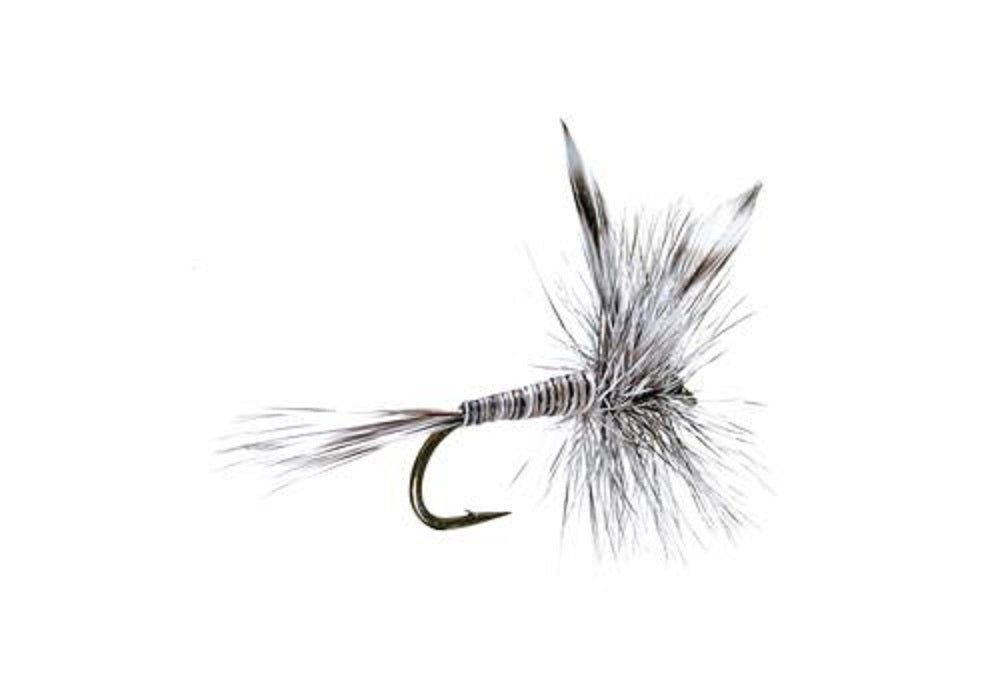 3 Pack Mosquito Classic Trout Dry Fly Fishing Flies - Size 10