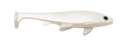 Weedless Executioner Soft Plastic