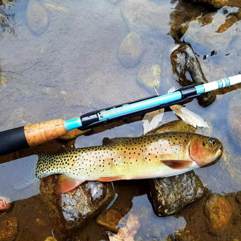 Maruki Sharpshooter Rod