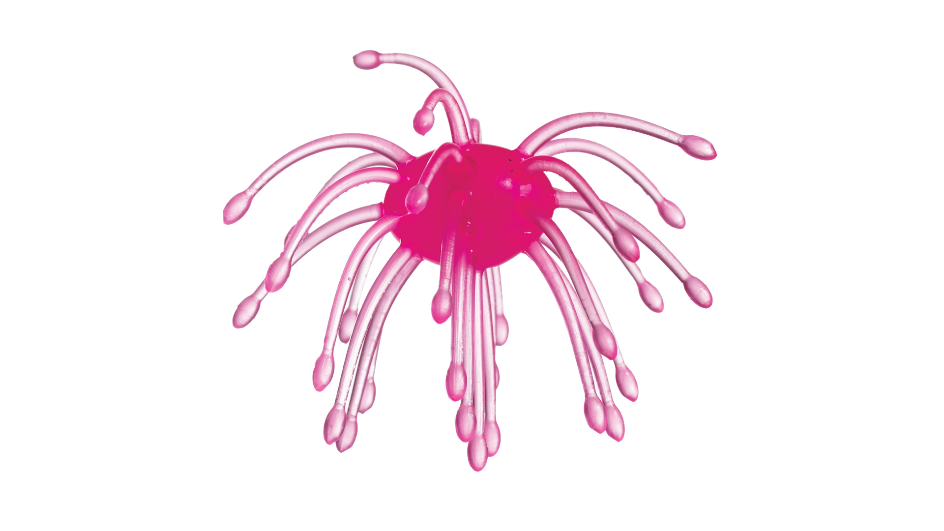 WEBBER Soft Plastic