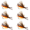 West Fork Salmonfly Stone - Stonefly Dry Fly - 6 Flies Size 6