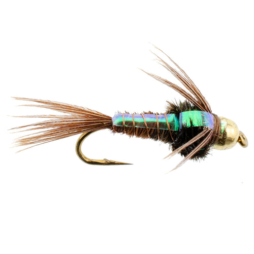 Bead Flash Back Pheasant Tail Nymph 1 Dozen Fly Fishing Flies  Size 16
