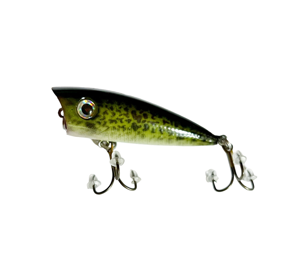 Lanier Lures Hunter Series 3” Popper – Viper Gill