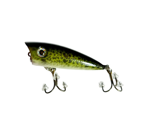 Lanier Lures Hunter Series Viper Gill 3-inch hand-painted topwater popper – product view 2