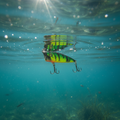 Lanier Lures Hunter Series Popper – Venom Tiger